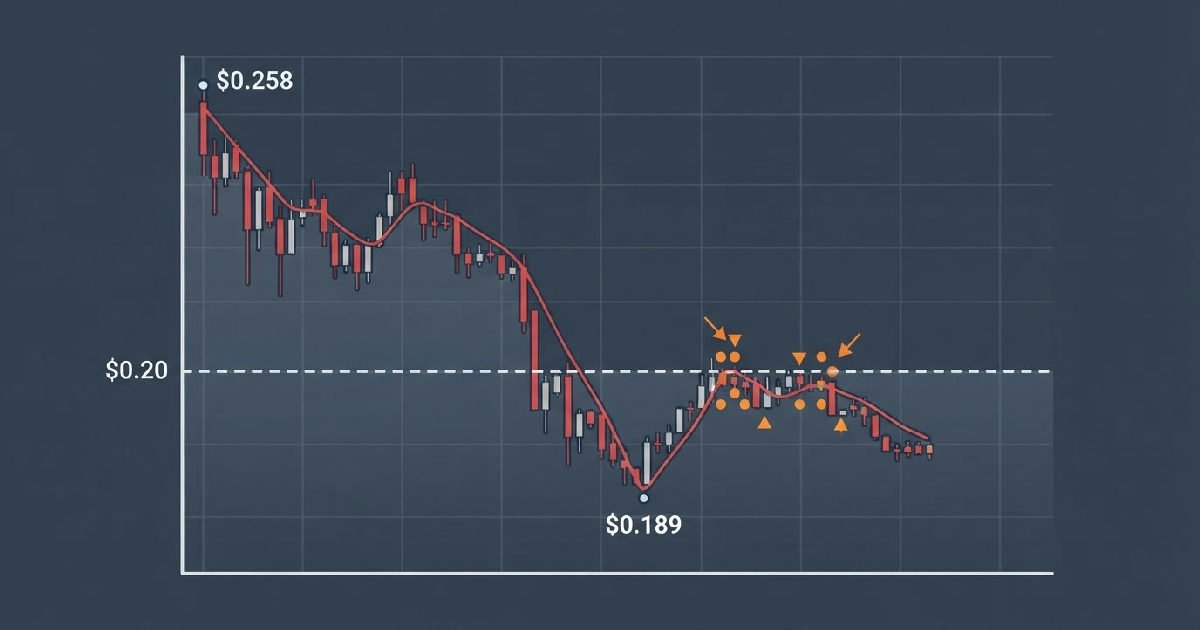Cardano defends 020 support amid 1.17 million liquidation wave