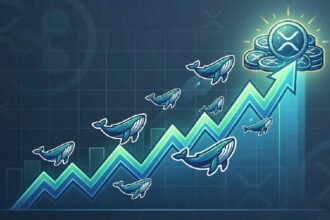 Ripple Whales Accumulate 1.54 Billion XRP After Dip