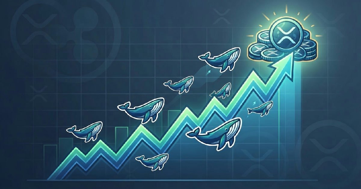 Ripple Whales Accumulate 1.54 Billion XRP After Dip