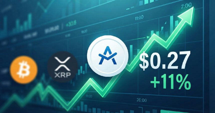 Cardano ADA Surges 11% to $0.27, Outpacing Bitcoin and XRP